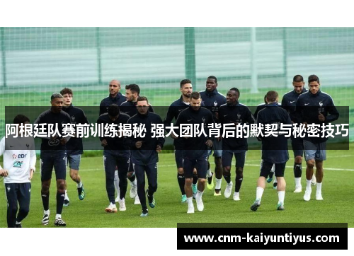 阿根廷队赛前训练揭秘 强大团队背后的默契与秘密技巧