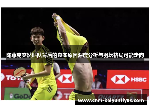 陶菲克突然退队背后的真实原因深度分析与羽坛格局可能走向 陶菲克突然退队背后的真实原因深度分析与羽坛格局可能走向