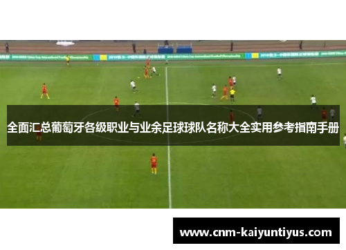 全面汇总葡萄牙各级职业与业余足球球队名称大全实用参考指南手册 全面汇总葡萄牙各级职业与业余足球球队名称大全实用参考指南手册