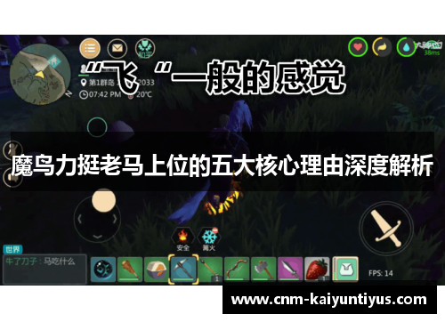 魔鸟力挺老马上位的五大核心理由深度解析