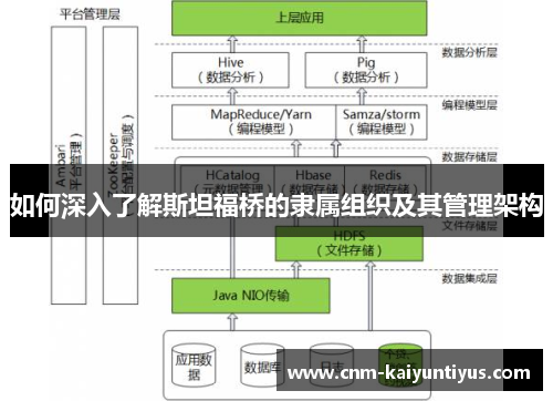 如何深入了解斯坦福桥的隶属组织及其管理架构 如何深入了解斯坦福桥的隶属组织及其管理架构