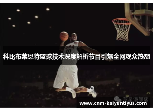 科比布莱恩特篮球技术深度解析节目引爆全网观众热潮
