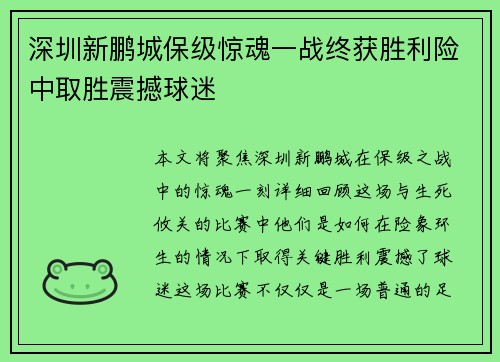 深圳新鹏城保级惊魂一战终获胜利险中取胜震撼球迷